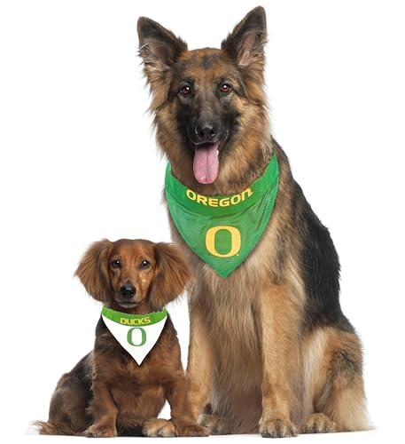 Collegiate Pet Accessories (Small/Medium / Oregon Ducks)