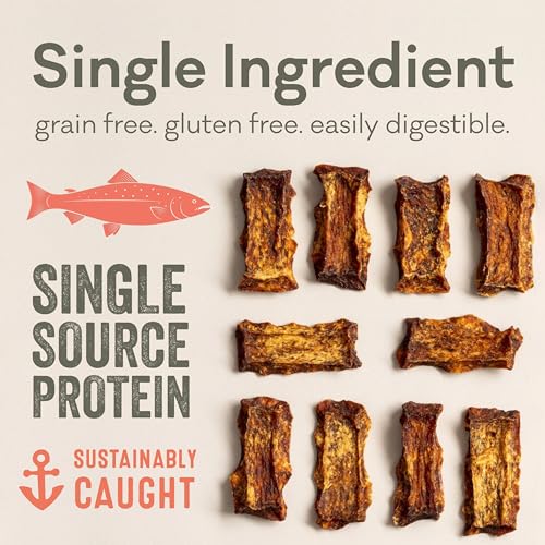 Crunchy Alaskan Salmon Chips