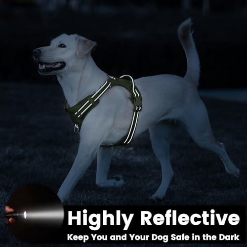 No Pull Dog Harness Front Clip Handle (Misty Green / S(Neck:15.7-22.0",Chest:17.3-24.8"))