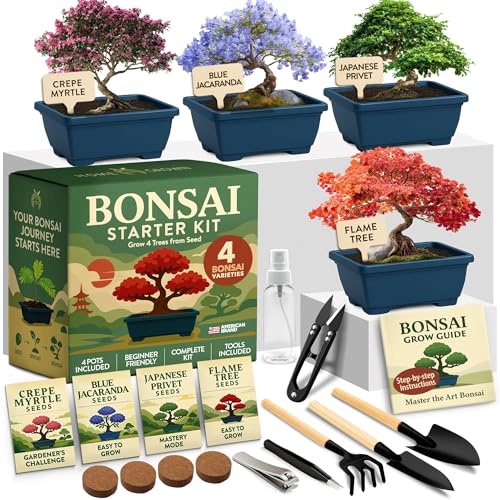 4 Bonsai Tree Starter Kit