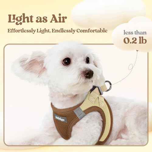 Dog Harness Small Sized and Leash Set (Brown & Beige / Xxs (chest: 12.4 - 14.2"))