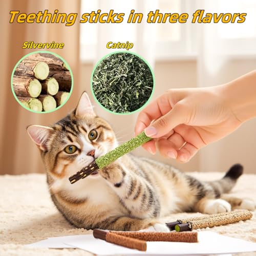 Cat Toys 12PCS Mix Catnip Chew Rope Silvervine Stick for Indoor Cat (MIX-12PACK)