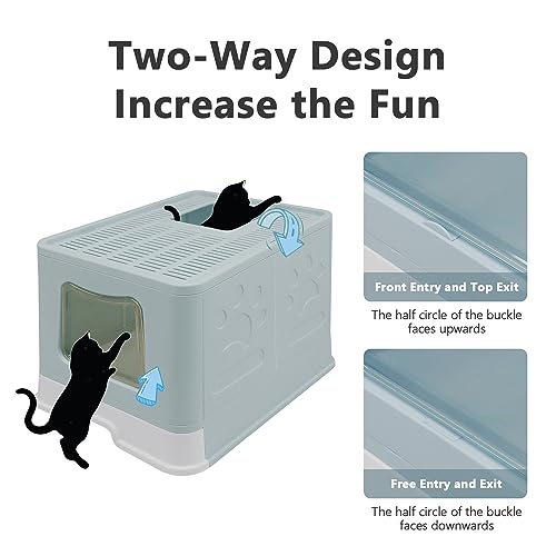 XL Foldable Cat Litter Box with Lid (Blue / X-Large)