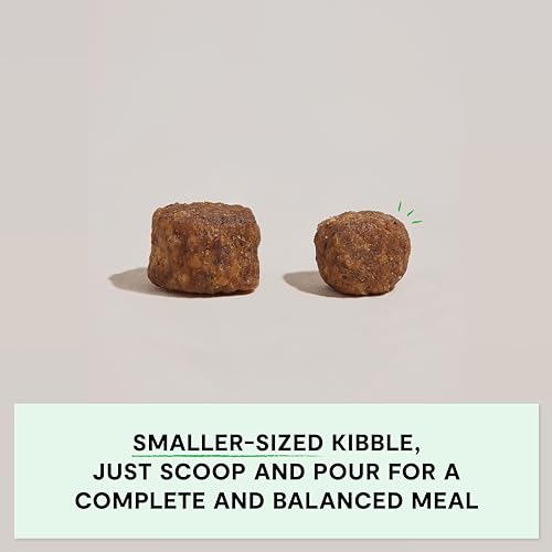 Grain Free Dry Dog Food (4 Pound (Pack of 1))