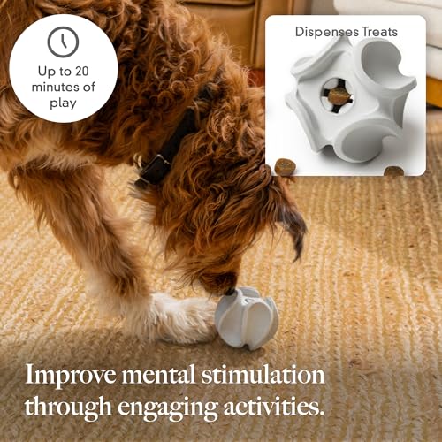 Treat Dispensing Dog Toy