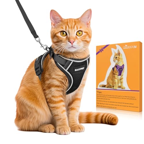 Cat Harness and Leash Set (H600 Pro Black / Small (7-12lb))