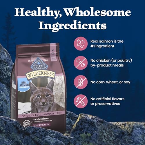 Wilderness Salmon Adult 7+ Dry Cat Food (5 Pound (Pack of 1))