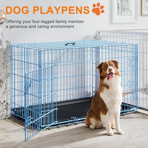 48" Foldable Metal Dog Crate (Blue)