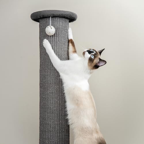 Tall Sisal Cat Scratching Post (A) Scratching Post (Gray))