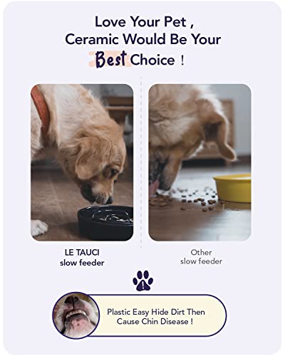 Slow Feeder Dog Bowls Ceramic (Vortex Blue / L-3 Cups)