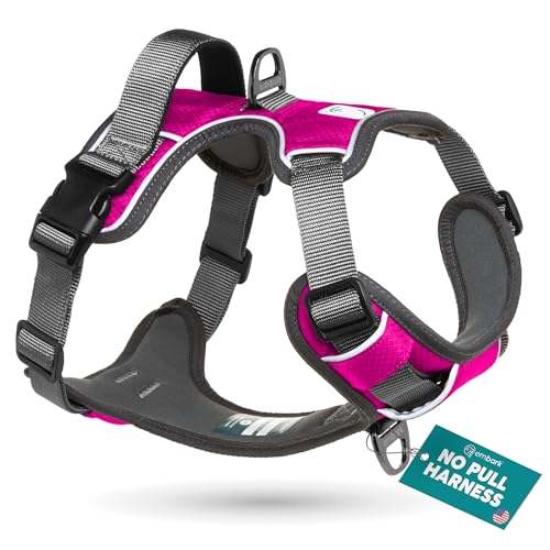 Embark No Pull Dog Harness (S / Pink)