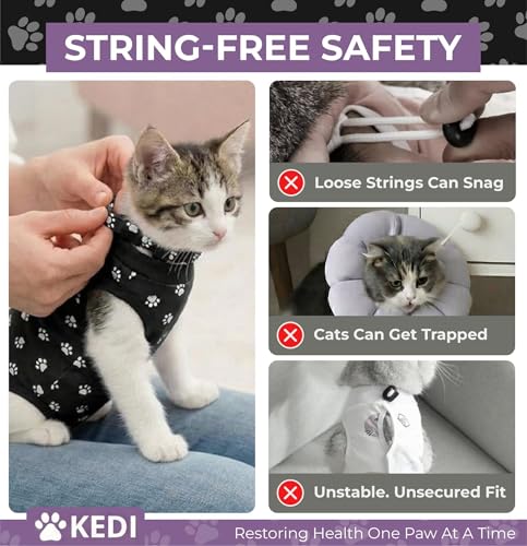 Kitten Recovery Suit Female After Spay (Black / Small)