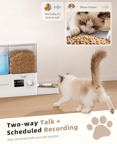 Automatic Cat Feeder and Water Dispenser with Camera