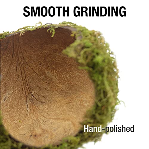 Hamster Hideaway (Cave, Set)