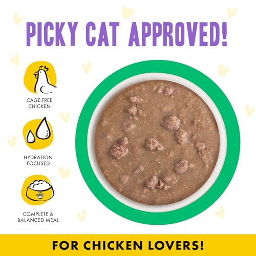 B.F.F. OMG Best Feline Friend Oh My Gravy! (2.8 Ounce (Pack of 12))