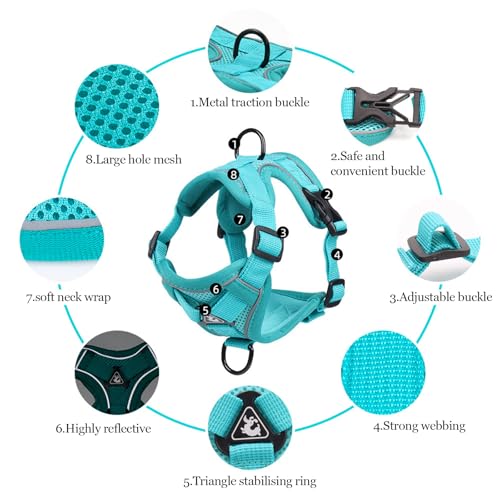 cat Chest Harness and Leash (Emerald / S:3.3-6.6lb)