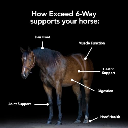 Exceed 6-Way (16lb) High Level Performance Horse Support Pellets for Horses, Joint, Hoof, Hair, Gastric, Digestion and Muscle Support