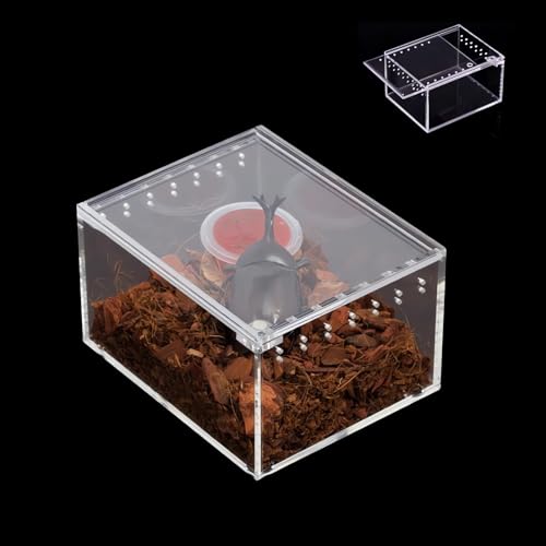 Insect breeding Box Reptile Feeding Box (3.9*3.3*2.3inch)