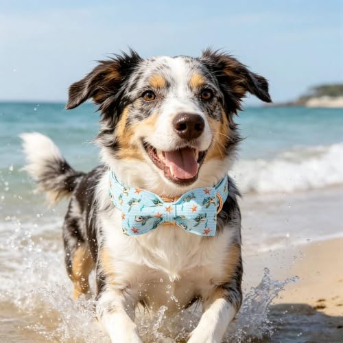 Pet Collars Preppy Sea Turtle Dog Collar with Bow (Turtle / Large (Pack of 1))