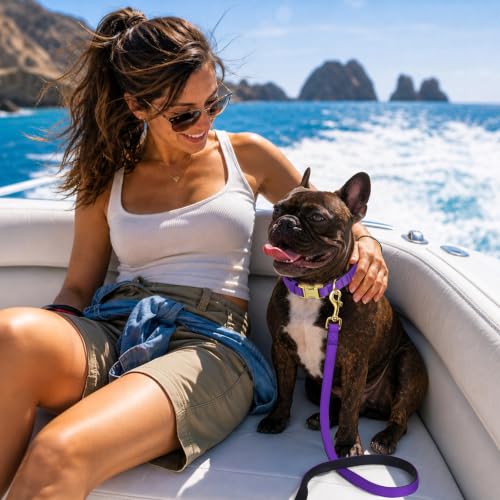 Soft Padded Dog Collar for Medium Dogs (Purple / M：Fit 14-18" Neck, Width ¾")