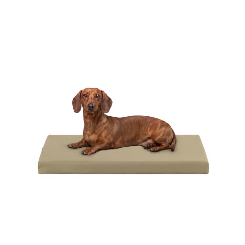Tough Ripstop Orthopedic Crate Bed (Small (29" L x 18" W x 2" H) / Sage Green)