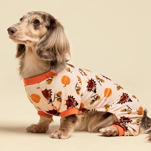 Thanksgiving Turkey Dog Pajamas (Turkey / Large)