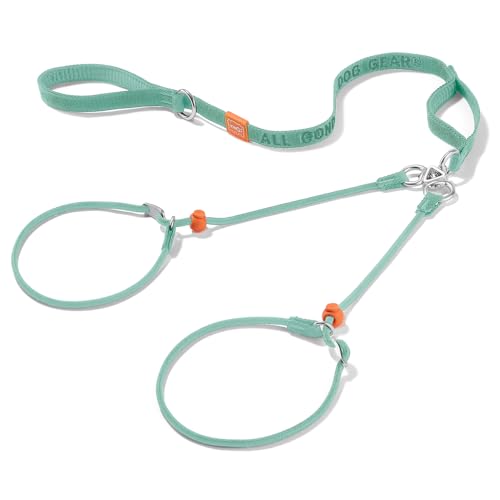 Slip Lead Leash 2 Dogs (MintGreen / w/ Handle)