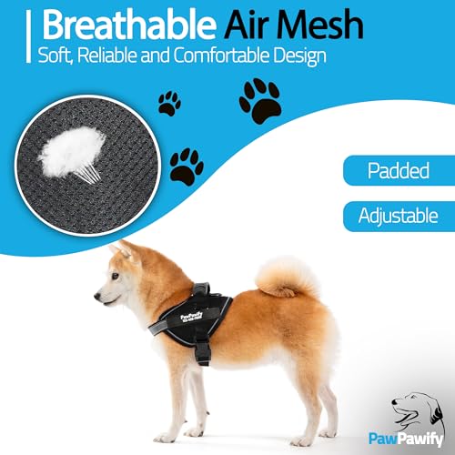 Custom No Pull Dog Harness with Name and Phone Number (XL (60-85 LBS) / New Black)