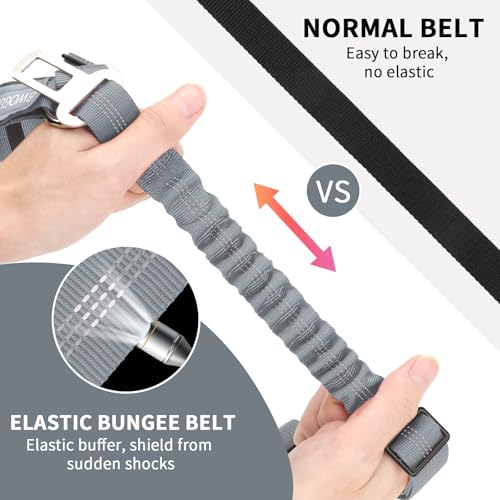 Dog Seat Belt for Car (Grey)