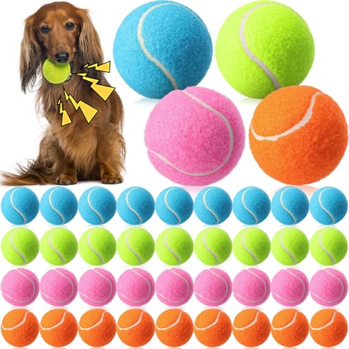 40 Pcs 2.5 Inch Squeaky Tennis Balls Bulk for Dogs Bouncy Floatable Tennis Balls Dog Playing Supplies Training Interactive Fetch Toys Indoor and Outdoor for Small Medium Puppy (Multicolor)