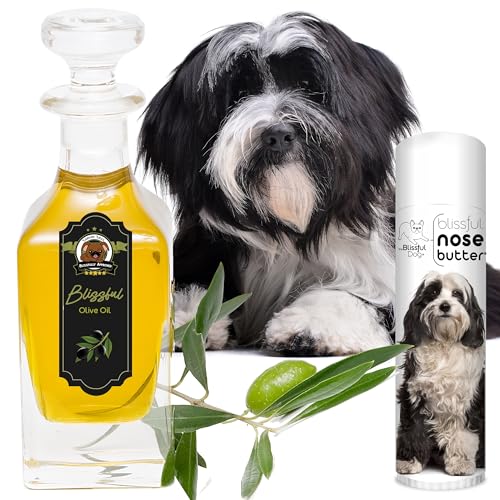Tibetan Terrier Unscented Nose Butter (Tibetan Terrier / 0.50 Ounce)