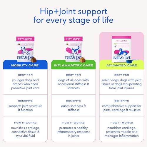 Hip & Joint Advanced Care Dog Joint Supplement Powder for Mobility & Movement Support (30 Count)