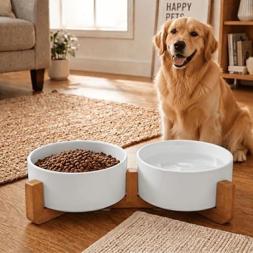 Ceramic Dog and Cat Bowl Set with Wooden Stand (5 cups / White × 2)