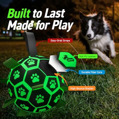 Glow in The Dark Dog Toys (Light Up Ball / 8 Inch)