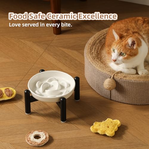 Elevated Ceramic Slow Feeder Cat Bowl (White Raised (Metal) / 3.9"H Raised (Metal))