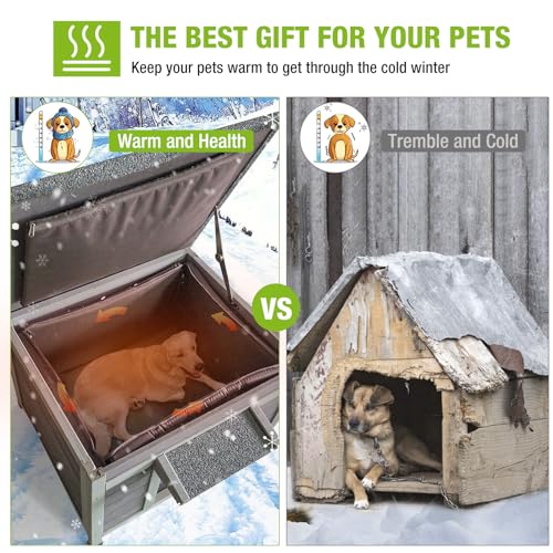 Dog House Insulated for Small Dogs Outdoor Cat House Feral Cat Shelter with Thermal Liner