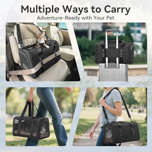 Large Cat Carrier with Patented Safety Buckles (19.0"L x 12.0"W x 12.0"H / Black)