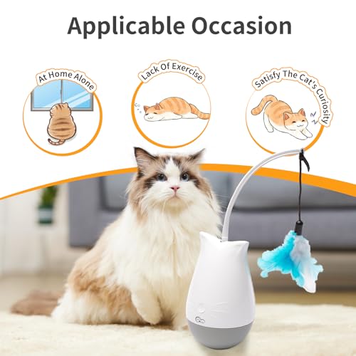 Cat Toys Interactive for Indoor (DPT01)