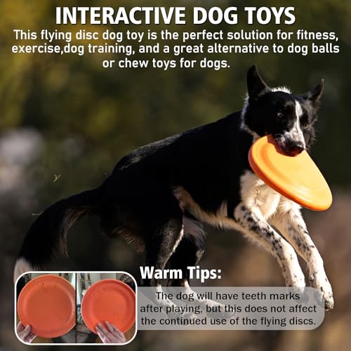 Dog Flying Disc (Orange)