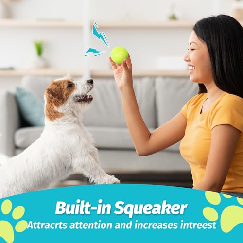 Tennis Balls for Dogs (2.5" Squeaky / 12 Pack, 4 Colors)