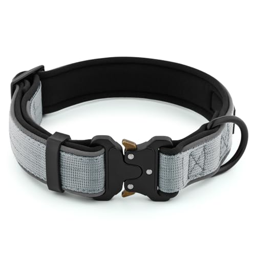 Tactical Dog Collar (S / Grey)