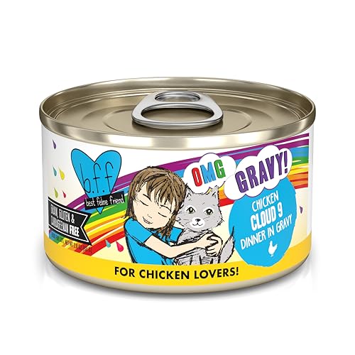 B.F.F. OMG Best Feline Friend Oh My Gravy! (2.8 Ounce (Pack of 12))