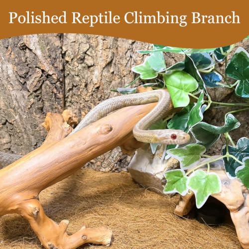 2PCS Snake Climbing Branch (Polished Reptile Climbing Wood)