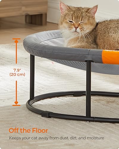 Elevated Cat Bed (20.5"L x 16.5"W x 7.9"H / 1 Tier)