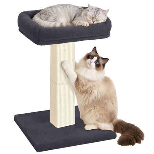 Cat Scratching Post with Plush Perch for Indoor Cats (Dark Grey)