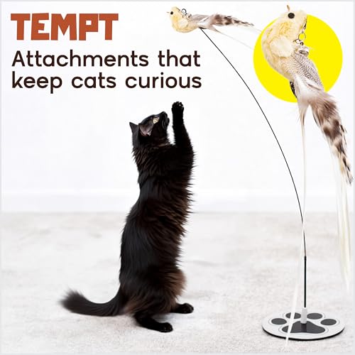 Bird Toy for Cats (Feather Frenzy)