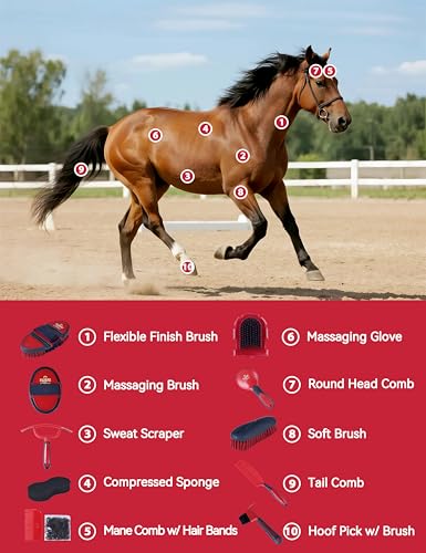 Horse Grooming Kit (Shadowberry)