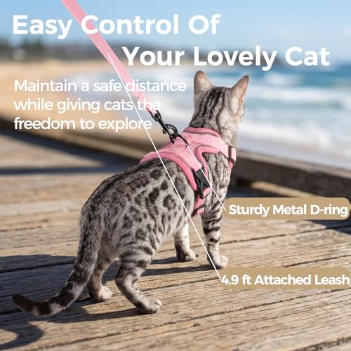 Cat Harness and Leash Set (Pink / Medium)