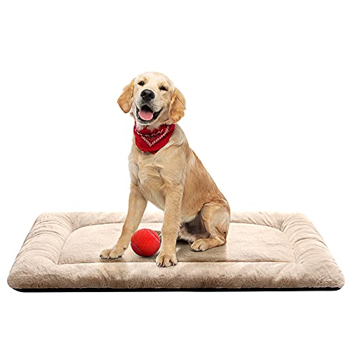 Dog Crate Pad Washable Dog Bed for Crate Medium Cozy Mat 36 (36.0"L x 23.0"W x 1.0"Th / cream)