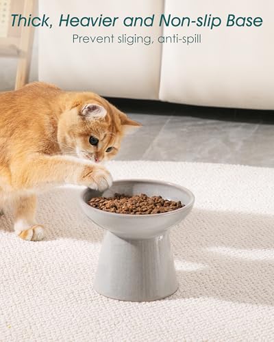 2 Pack Extra Wide Elevated Cat Bowls (Grey)